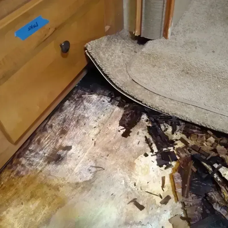 Wood Floor Water Damage in Ossun, LA